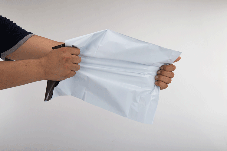 2381625506_1454166639