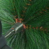 Christmas tree pine needle tree PVC encrypted Christmas decoration Christmas