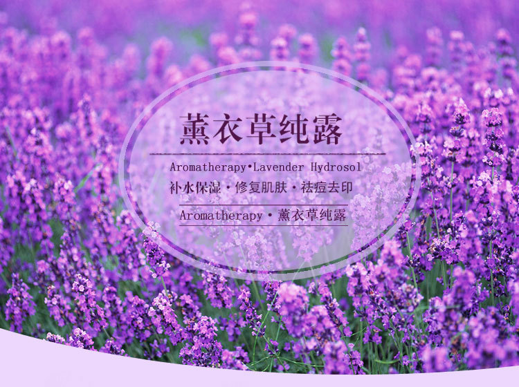 薰衣草纯露详情_01