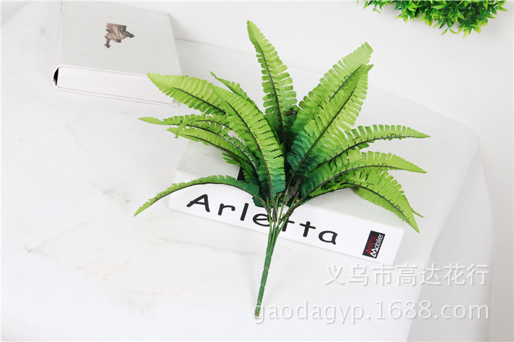 2519809219_1307269327