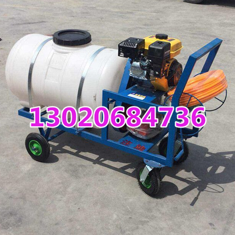 菜园瓜果蔬菜打药机