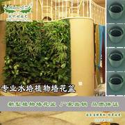 墙上盆栽植物墙水培绿植花盆鱼菜共生组合墙上盆栽壁挂无土栽培厂
