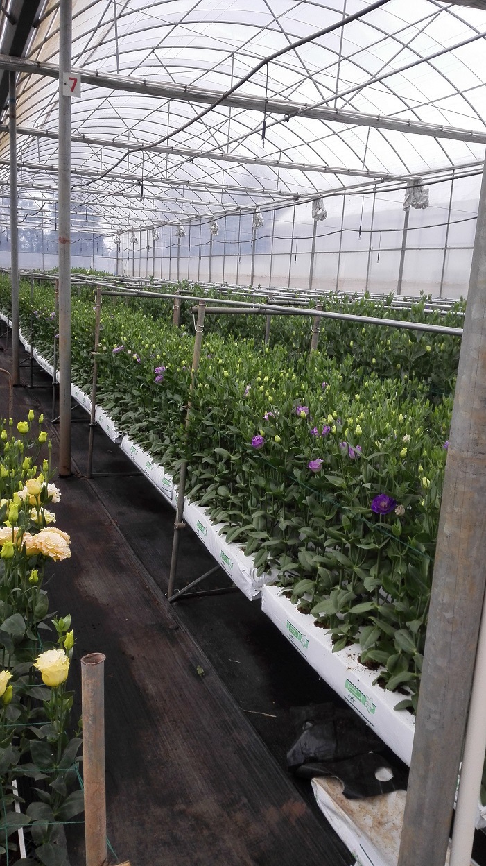 QQ图片20161027112512