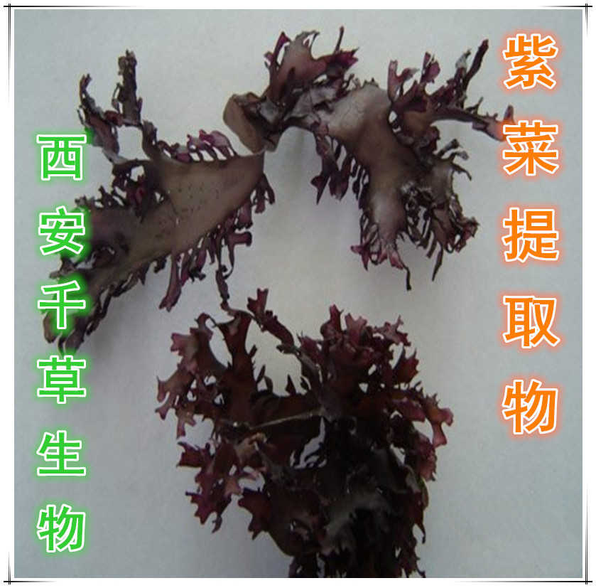 紫菜提取物