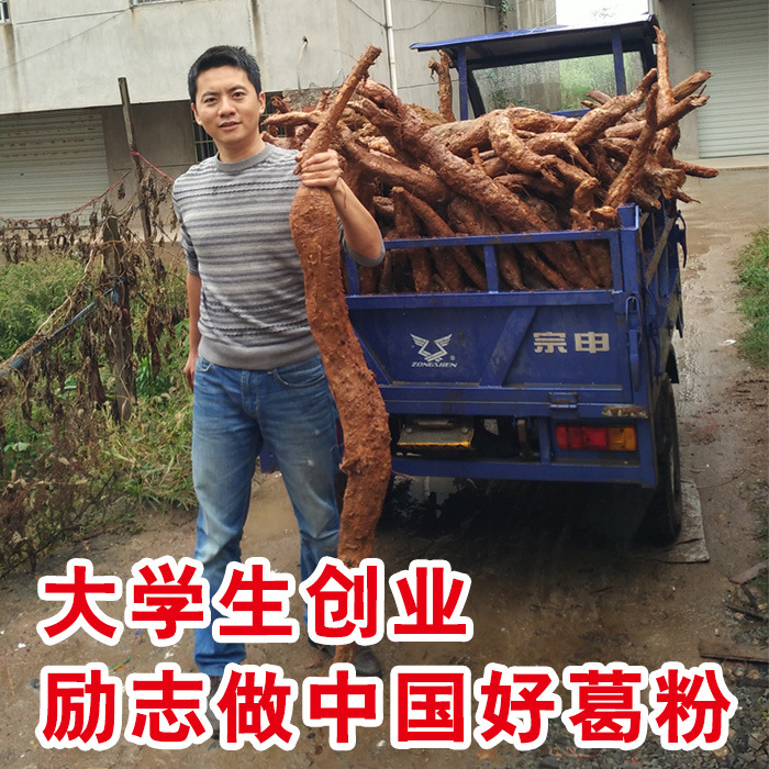 野生葛根粉 老柴葛粉代餐粉天然正品送葛根片500g 散装 一件代发