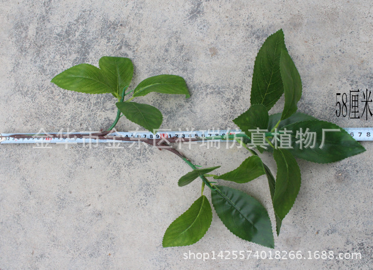 XRB-140木荷叶3叉枝15叶2