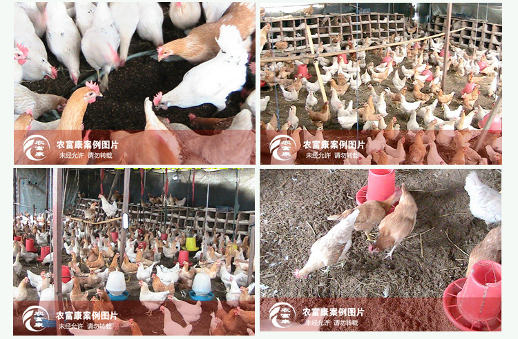 2696843843_521147679