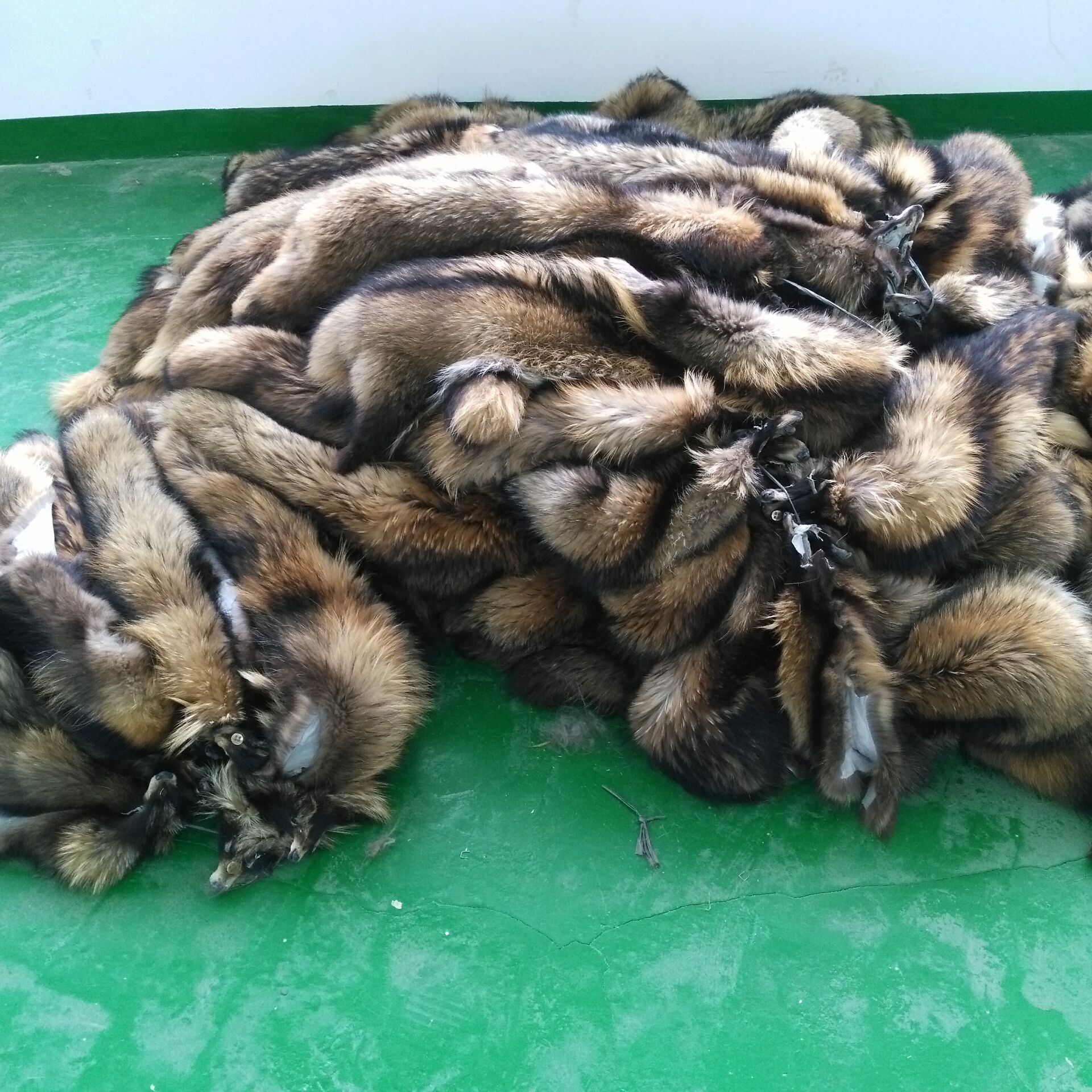 F5FE05E393BCF13EDA8A3C4C2B3921