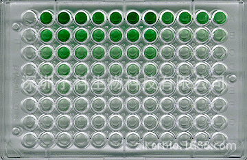 大鼠白蛋白(ALB)ELISA试剂盒 - 大鼠白蛋白(ALB)ELISA试剂盒，快速、准确检测大鼠白蛋白水平