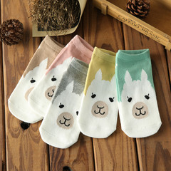新款 2021春夏韓版可愛卡通直板小熊女船襪 全棉短襪 襪子批發