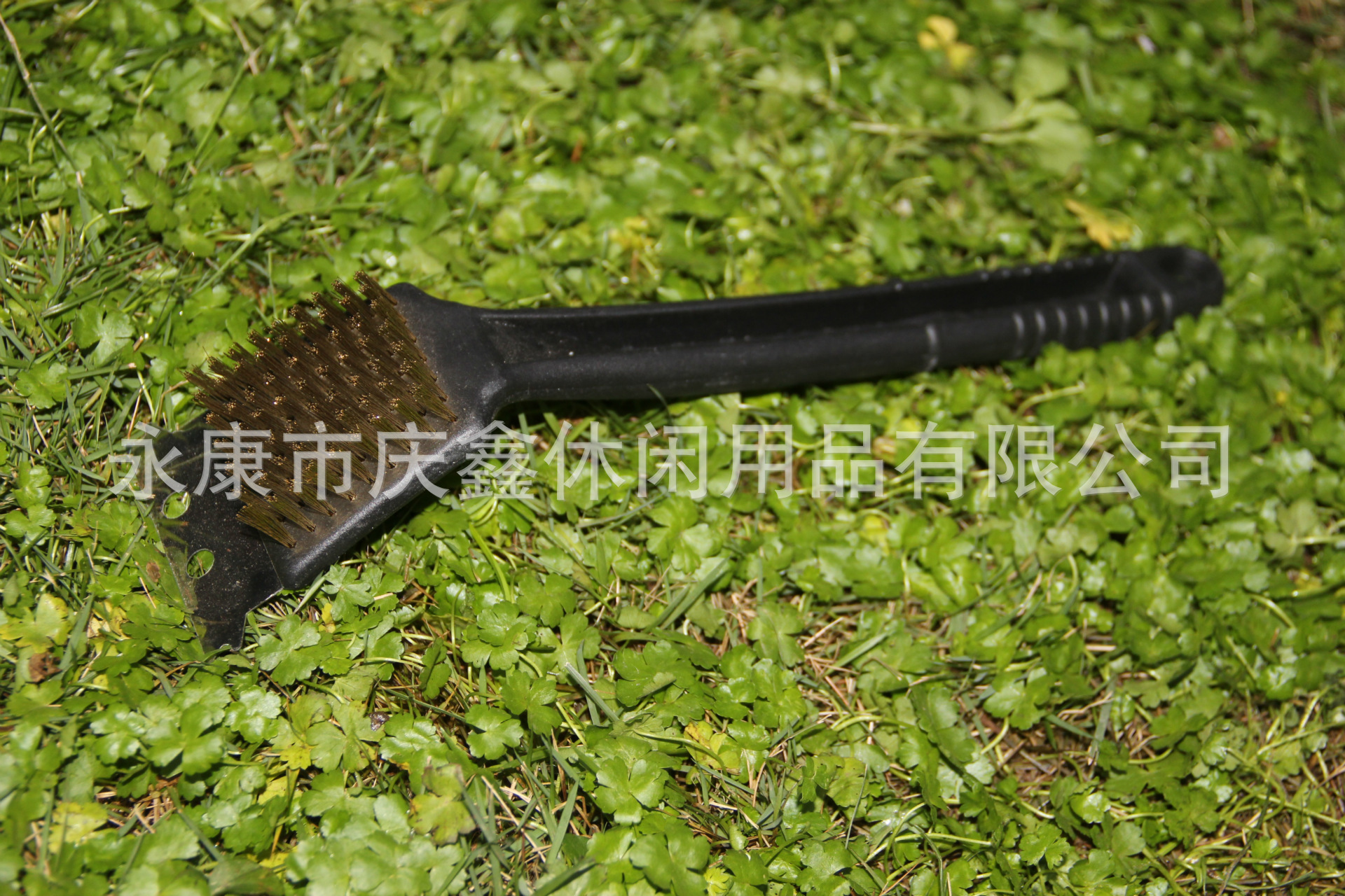 照片 685