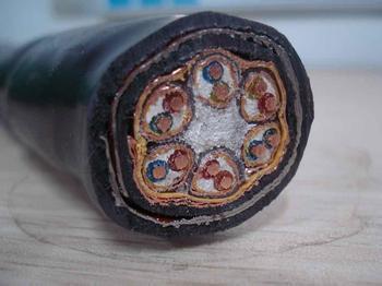 铠装计算机电缆DJYPVP22-0.3/0.5KV-8*2*0.75