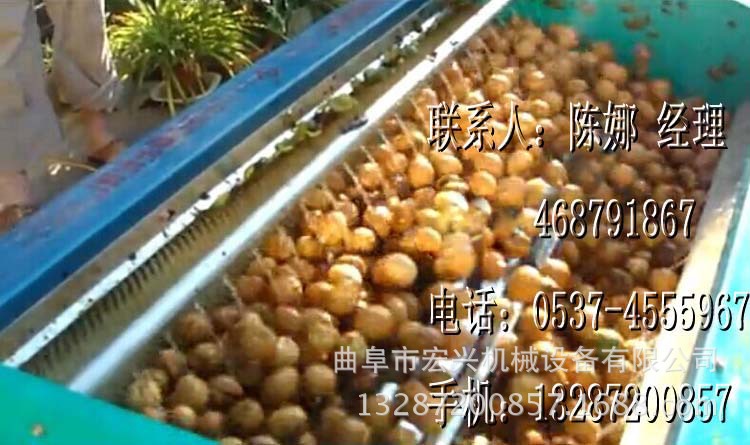 核桃去皮清洗设备 毛辊清洗机 专业去皮清洗机械