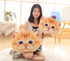 Detachable cartoon pillow, realistic cute plush toy, kitten