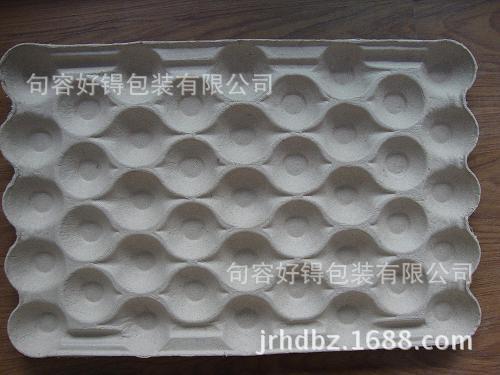 DSC01519