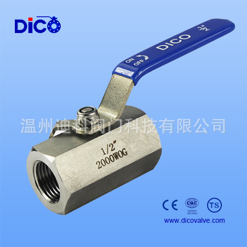 hex BALL VALVE 316