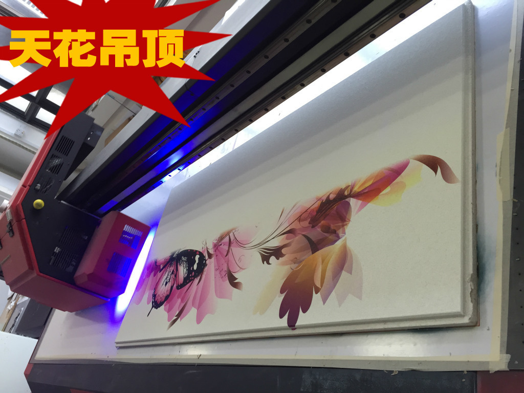 2757637433_1025195578