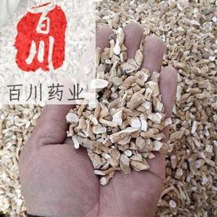 �ٴ�ș�I ���{����ș�����l �����  15��o�l���˓Q