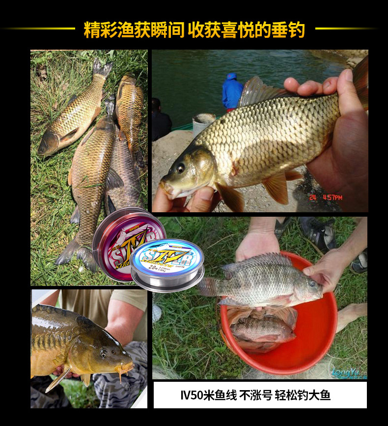 IV50米50米_25