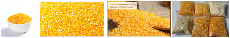 曲阜玉米深加工设备 三相电玉米制糁机 玉米脱皮机出厂价