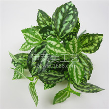 GɫС滨ˮ~ָзˮС7׾Gֲ