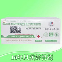 四川仔猪价格_今日最新四川仔猪价格行情走势