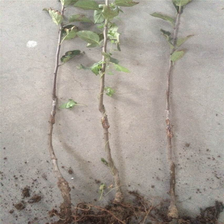 QQ图片20160908210609