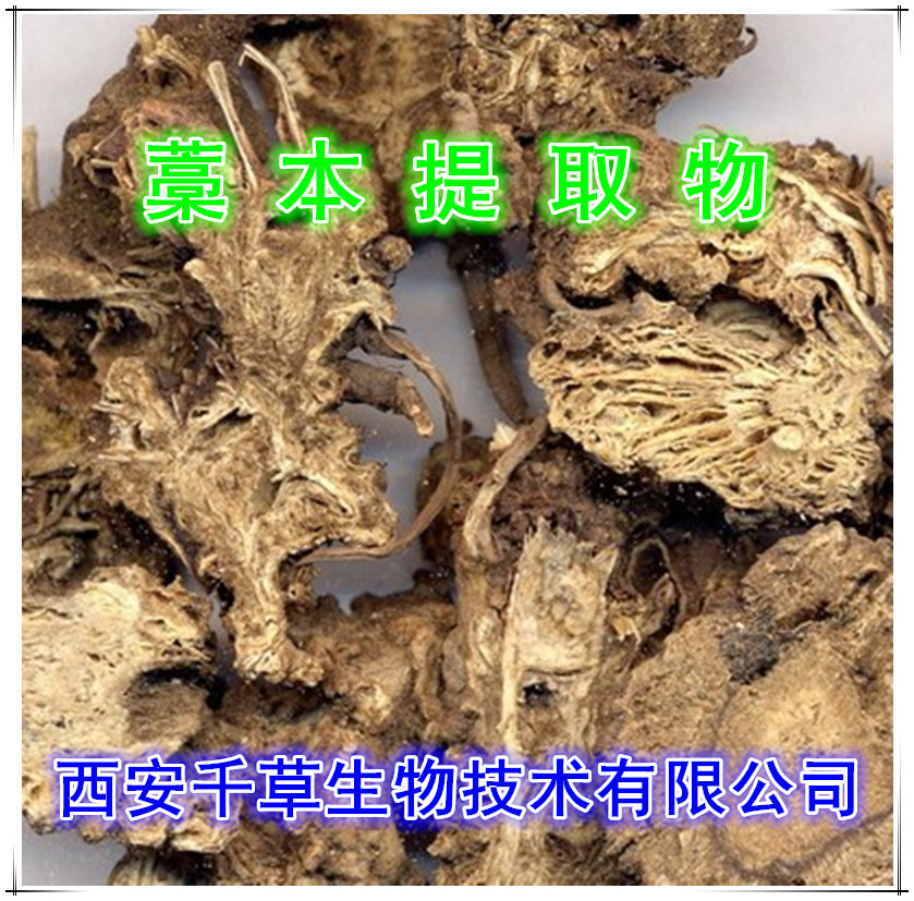 藁本提取物