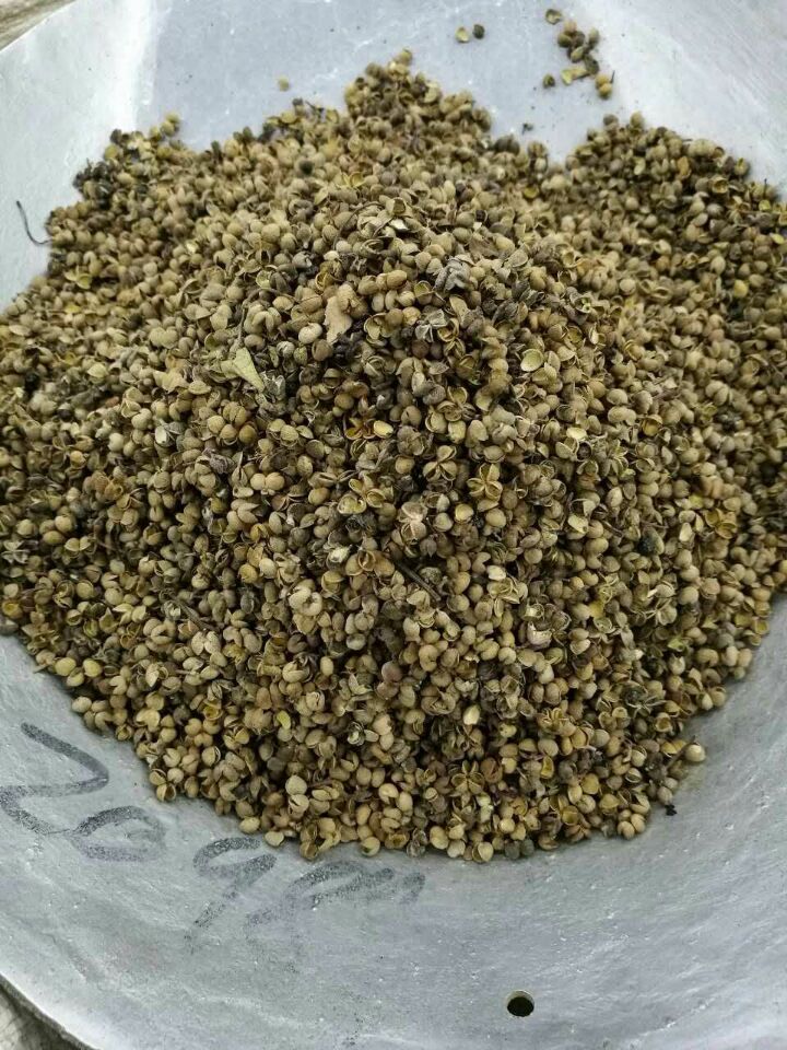 828784FD438785DED673C92788127E