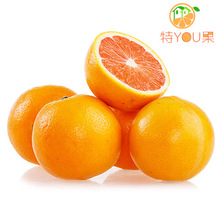 富川脐橙价格_最新富川脐橙价格\/批发报价_富