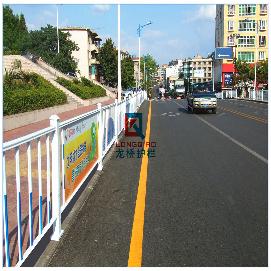 鹰潭道路隔离护栏/鹰潭城市道路护栏/龙桥护栏厂家定制