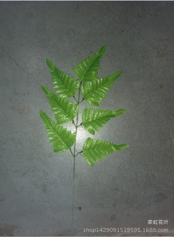 FS5B_4VXCJ7PBRY5{YL2{V0