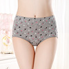 Breathable cotton underwear, cloth, wholesale