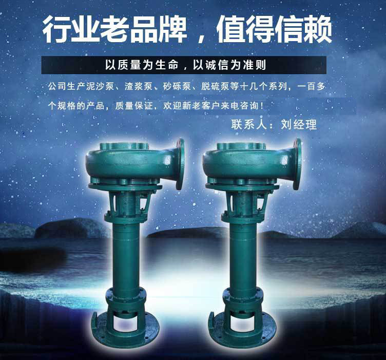 6PNSL-18立式泥沙泵_01