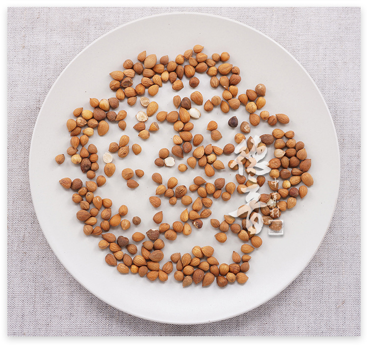 Chinese Bush Cherry Seed Yu Li Ren 郁李仁 Dried Prunus humilis Seeds Traditional TCM Herb Select Grade key features