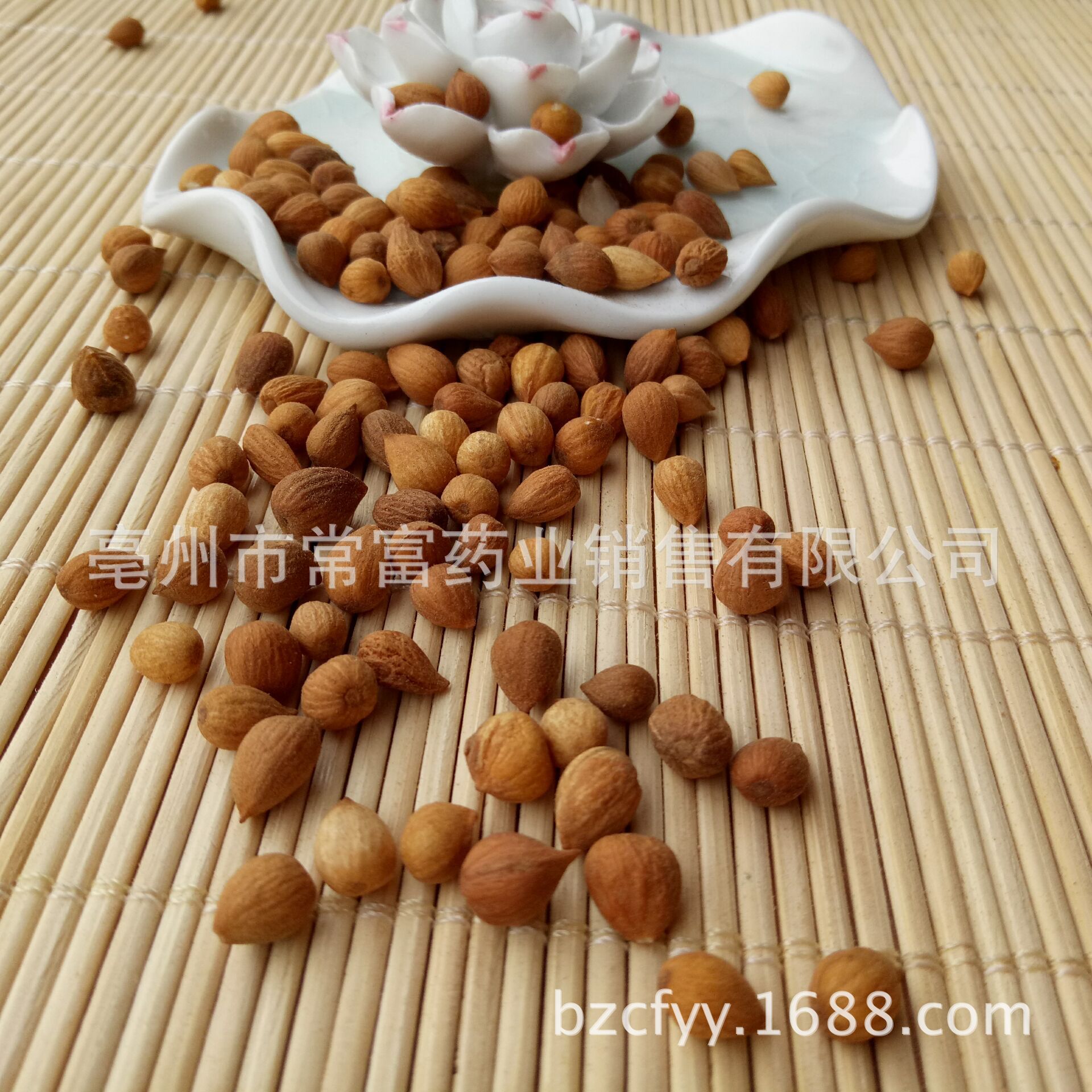 Chinese Bush Cherry Seed Yu Li Ren Prunus humilis Dried Herbal Seeds 500g for Culinary and Decoction Use overview