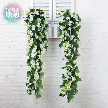 ���滨�ٗl�ٻ� ���{���b����� ���m�M���ǻ������_�m�ڒ����l