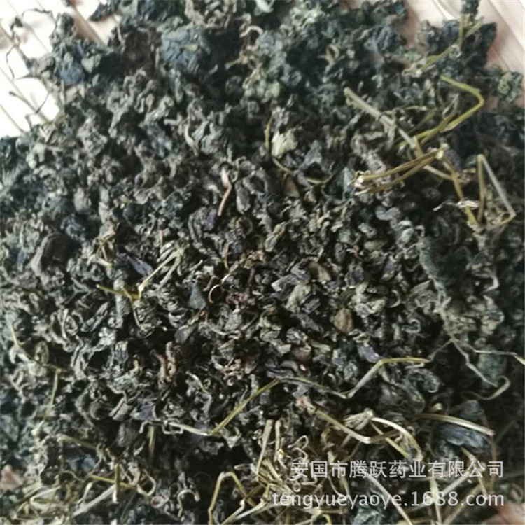 Jiaogulan Granules Gynostemma Loose Bulk Herbal Tea 500g quality and texture
