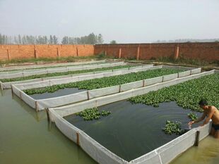 ˮ�ξW~ˮ�ξW��~Λ�ȾW��r��~ˮ���Bֳ���g