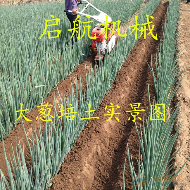 IMG160424165023251435