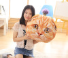 Detachable cartoon pillow, realistic cute plush toy, kitten