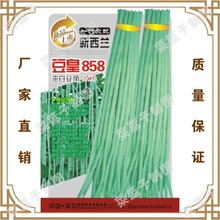 豆角籽价格_今日最新豆角籽价格行情走势