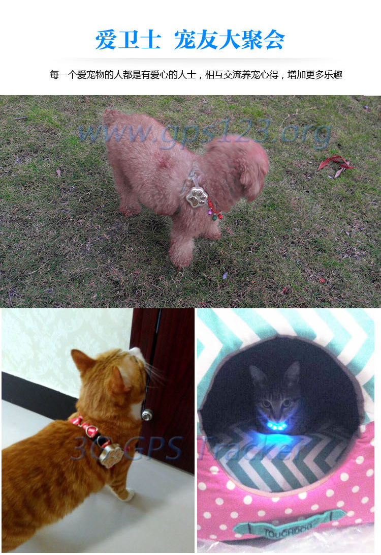 宠物定位器-V40-中文_22