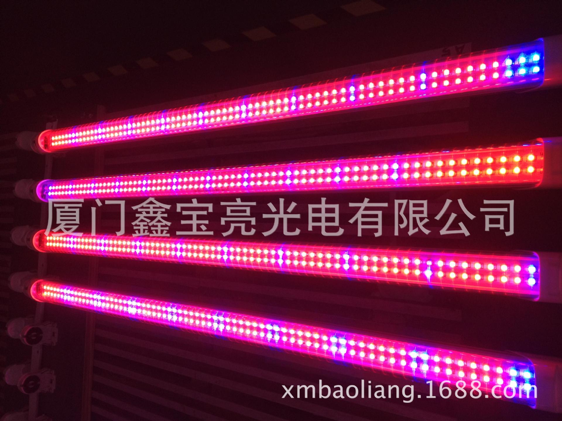 科钜光植物生长灯 led水培生菜补光灯植物 光照灯T8一体红蓝光-阿里巴巴