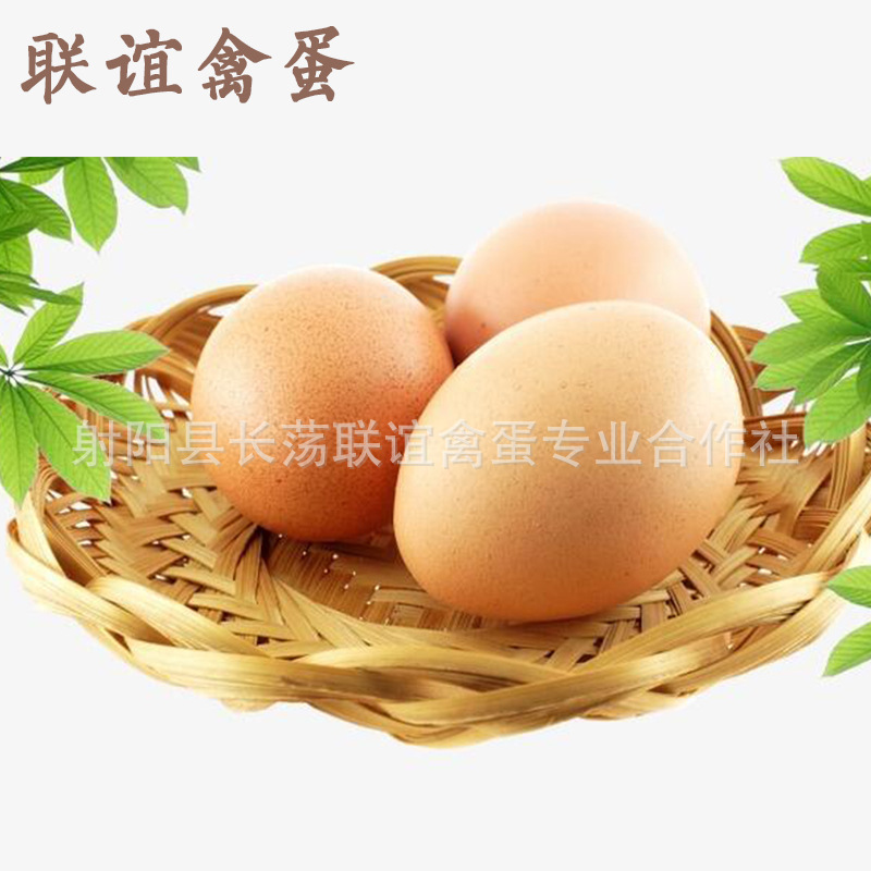 射阳县长荡联谊禽蛋专业合作社