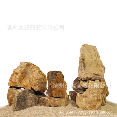 木化石规整硅化木木纹石鱼缸造景水族假山青龙石松皮石造景石批发|ms