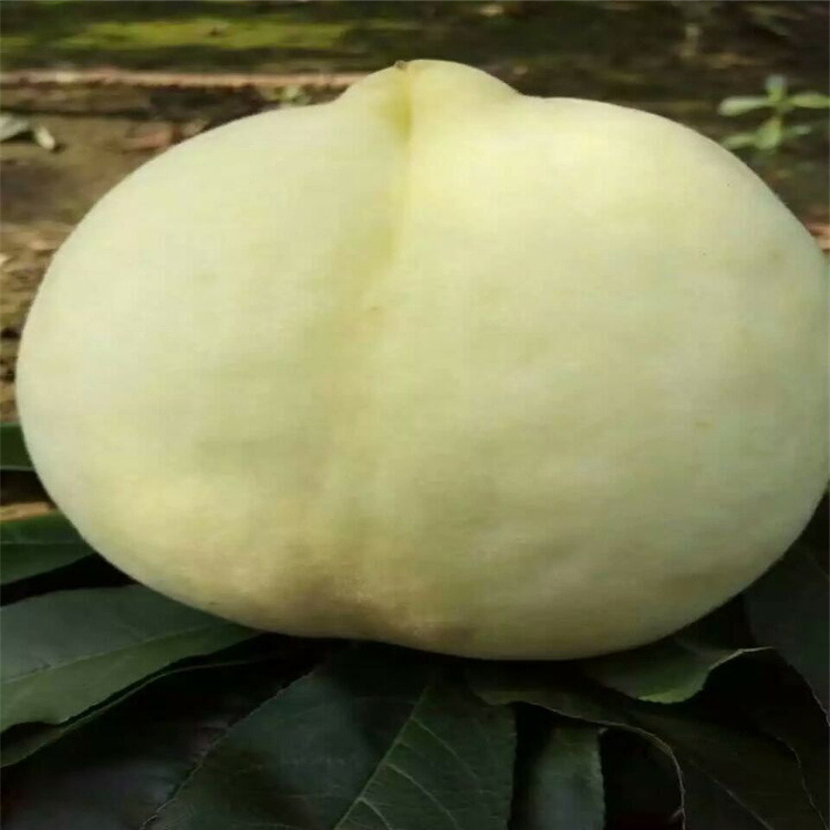 QQ图片20160901122106