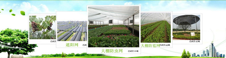 3351998239_2099731601