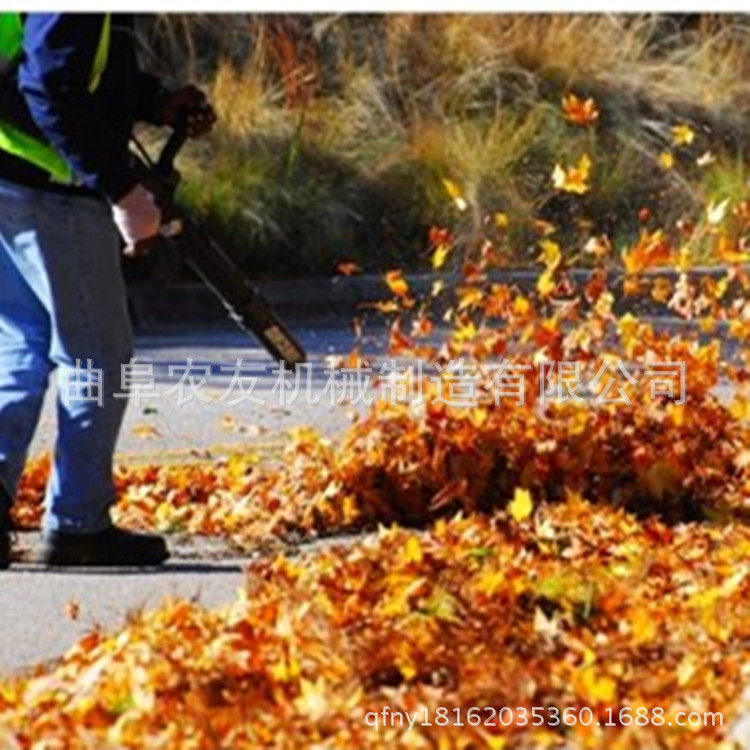 树叶清理吹风机, 小型路面手提式吹风机
