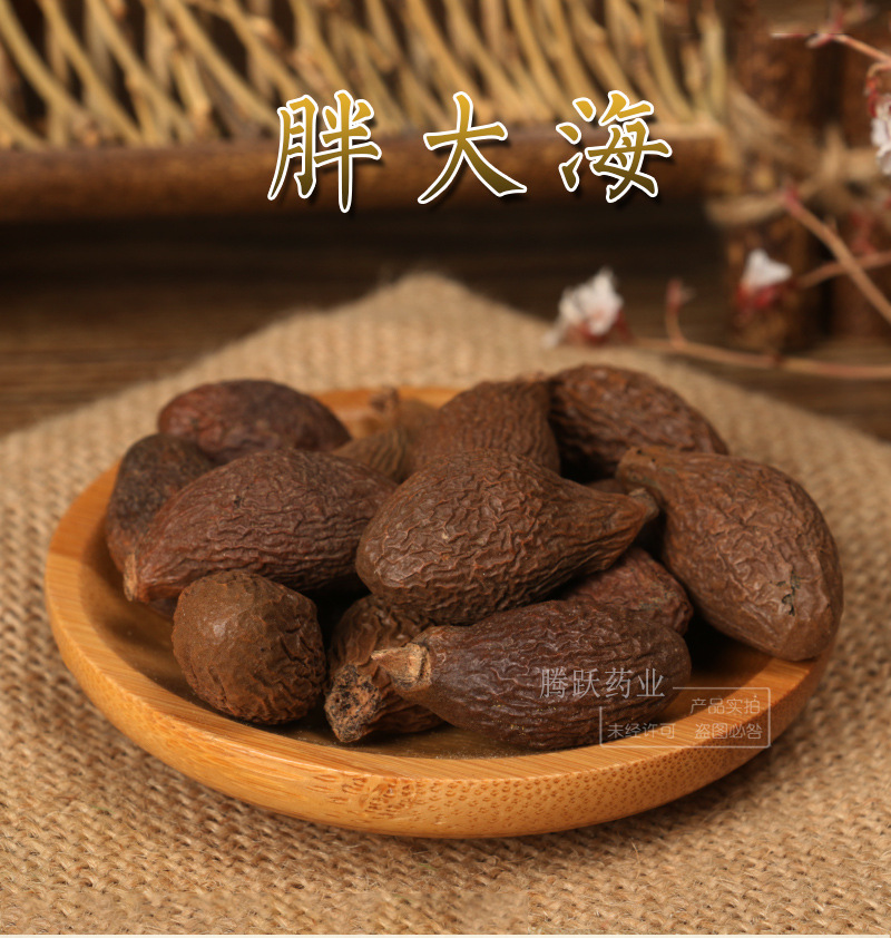 Pang Da Hai Fat Sea Seed Sterculia Whole Dried Fruit Bulk 500g Guangxi Origin Traditional Herbal Tea Ingredient overview